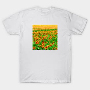 Abstract Minimalist Sunflowers T-Shirt